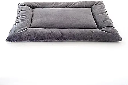 Best end table large dog kennel