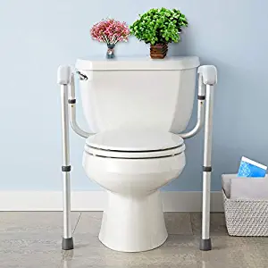 Best toilet seat with handles medical