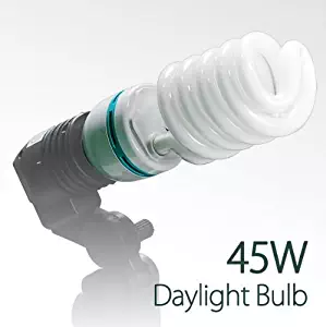 Best photography lighting bulbs