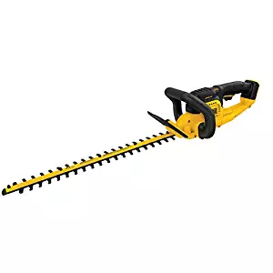 Best dewalt 20v chain saw kit