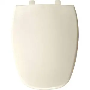 Best elongated toilet seat in color