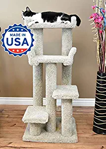 Best cat tower with hammock