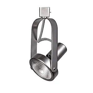 Best track lighting fixtures br30