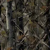 Best 2006 f150 xlt waterproof seat covers