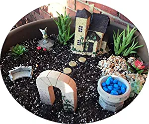 Best fairy garden kits with plants