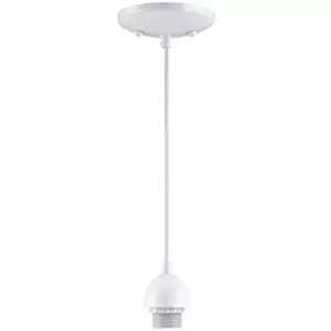 Best pendant lighting paper