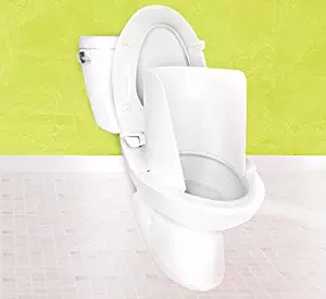 Best one piece toilet seat bowl