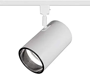 Best track lighting fixtures br30