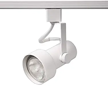 Best track lighting fixtures br30