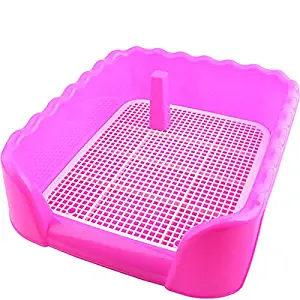 Best toilet seat for puppy