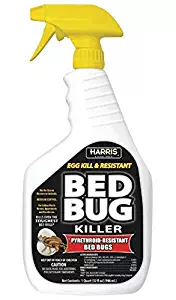 Best itchy mite spray for furniture