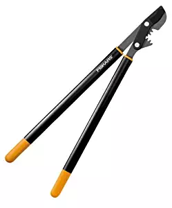 Best fiskars ratchet drive loper