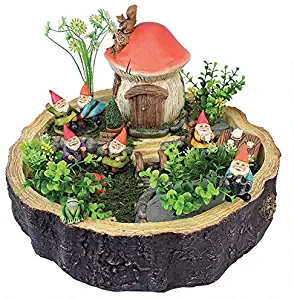 Best fairy garden gnome fishing