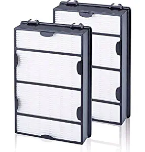 Best holmes air purifier filter b