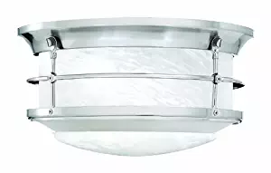 Best track lighting fixtures a19 brushed
