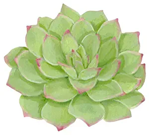 Best table mats set of 4