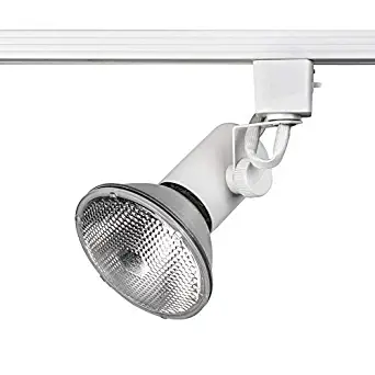 Best track lighting fixtures br30