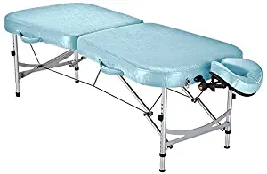 Best earthlite massage table carrier