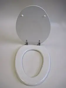 Best seashells in resin oblong toilet seat