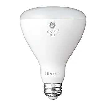 Best ge 65w floodlight indoor