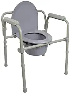 Best toilet seat with handles medical