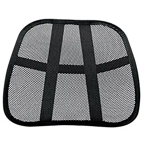 Best mesh lumbar back support for car seat