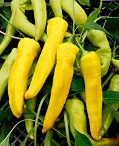 Banana Pepper (CHK) Seeds, Sweet Peppers, Yellow Pepper Seeds, Heirloom Peppers, 50ct