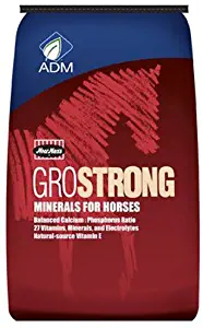 ADM ANIMAL NUTRITION 641BT Horse Vitamin/Mineral , 1Piece 25 lb