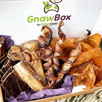 Gnaw Box – Nature Gnaws Dog Chew Treats - Subscription Box: Small Dog GnawBox