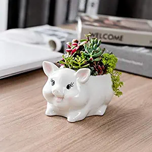 Cute Cartoon Animal Shaped Ceramic Succulent Cactus Flower Plant Pot Planter for Home Garden Office Desktop Decoration (Plant Not Included)（Pig）