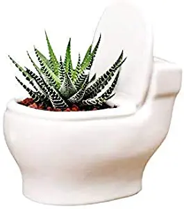 Cute Toilet Bowl Shaped Ceramic Succulent Cactus Flower Plant Pot for Home Garden Office Desktop Decoration (Plant Not Included)