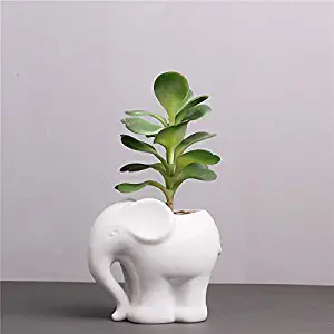 Cute Cartoon Animal Elephant Shaped Ceramic Succulent Cactus Vase Flower Plant Pot for Home Garden Office Desktop Decoration (Plant Not Included)