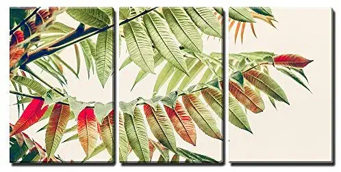 wall26 - 3 Piece Canvas Wall Art - Beautiful Green Red Leaves. Tropical Leaves on Light Background. Autumn Fall Nature - Modern Home Art Stretched and Framed Ready to Hang - 24