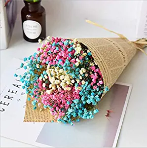 XINFENG Natural Gypsophila Baby's Breath Dried Flowers Bouquet Bundle, Desktop DIY handcrafts Floral Full Stars Dry Flower Bunch Arrangements Decorative for Home Office Wedding Store (Mixed 3 Color)