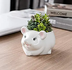 Cute Cartoon Animal Shaped Ceramic Succulent Cactus Flower Plant Pot Planter for Home Garden Office Desktop Decoration (Plant Not Included)（Mouse）