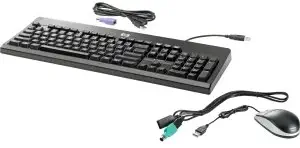 HEWLETT PACKARD POS -AMO BU207AT#ABA SMART BUY PROMO USB PS2 WASHABLE KEYBOARD AND MOUSE