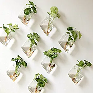 Kingbuy 4 Pack Wall Plant Terrariums Glass Hanging Planter Diamond Air Plants Holder Indoor Home Office Living Room Decor vase Succulent Container